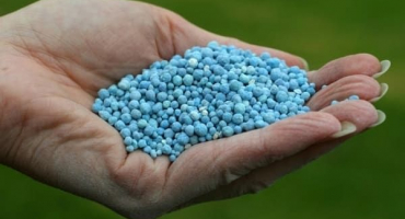 Co se týká fosforečných hnojiv: jejich typy a názvy